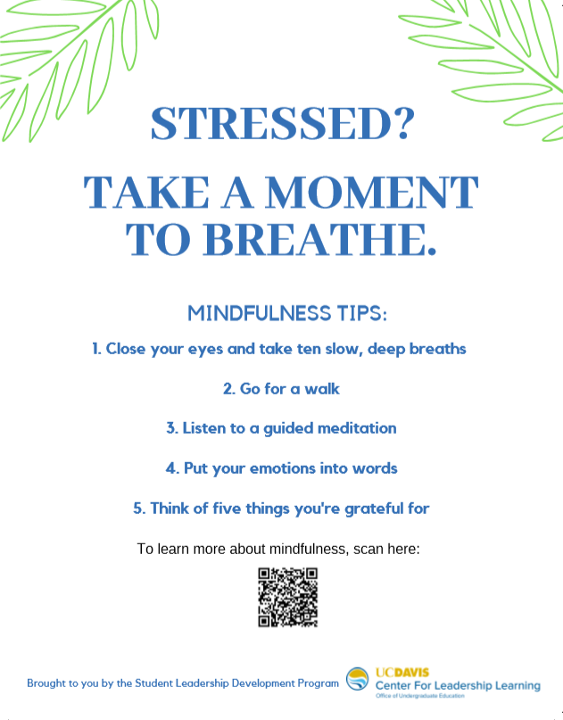 mindfulness flyer