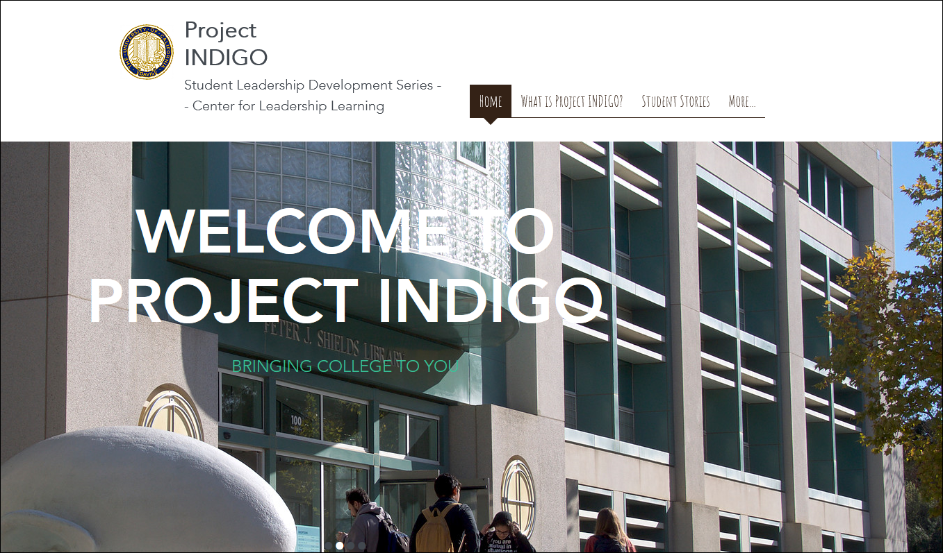 Project Indigo