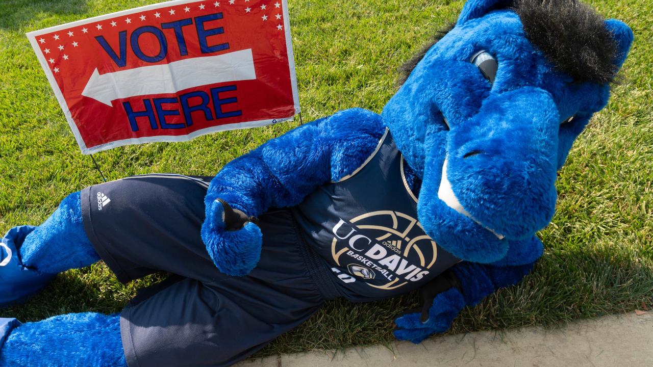 UC Davis mascot Gunrock, a blue mustang, lies on the grass next to a Vote Here sign.