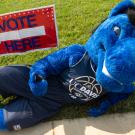 UC Davis mascot Gunrock, a blue mustang, lies on the grass next to here a Vote Here sign.